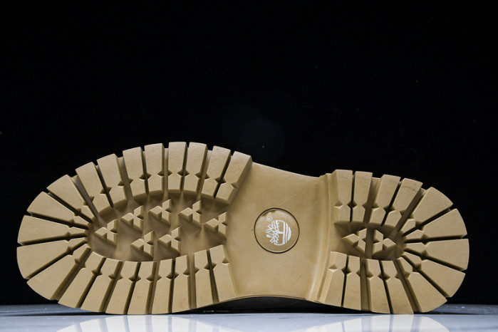 TIMBERLAND SNEAKER  TBL-02