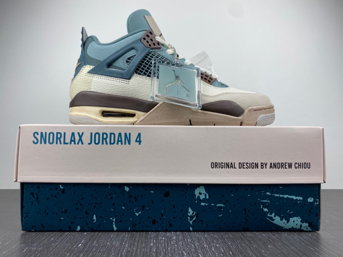 Air Jordan 4 Custom