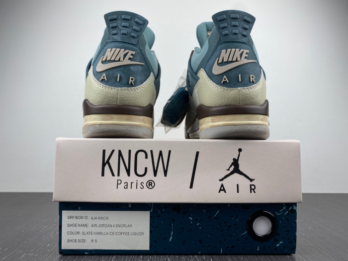 Air Jordan 4 Custom