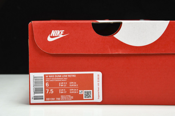 Nike Dunk Low RETRO DD1391 700