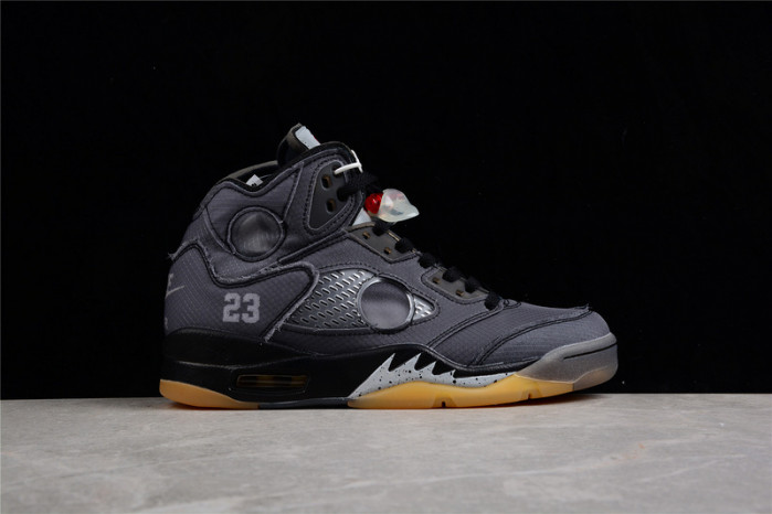 Jordan 5 Retro Off-White Muslin CT8480-001