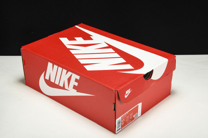 Nike Dunk Low “B op”