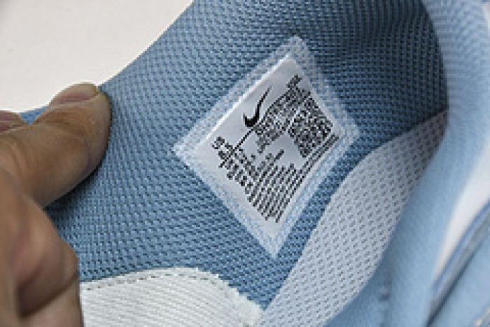 Nike Dunk Low GS DH9765-401
