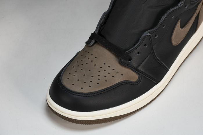 Air Jordan 1 High OG“Palomino DZ5485-020