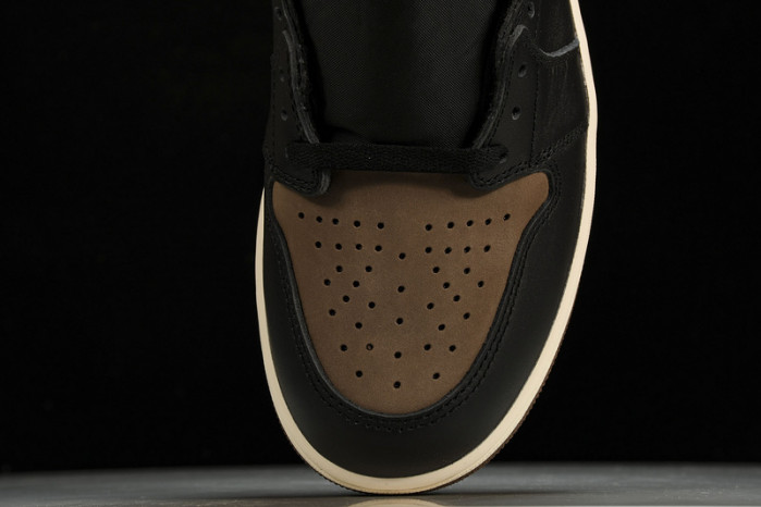 Air Jordan 1 High OG“Palomino DZ5485-020
