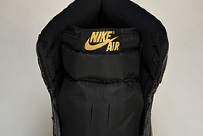 Air Jordan 1 High OG“Palomino DZ5485-020