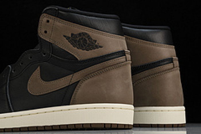 Air Jordan 1 High OG“Palomino DZ5485-020