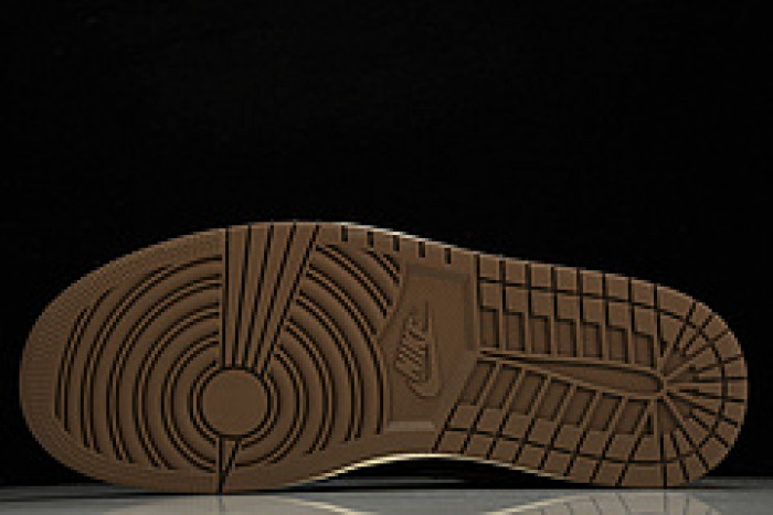 Air Jordan 1 High OG“Palomino DZ5485-020